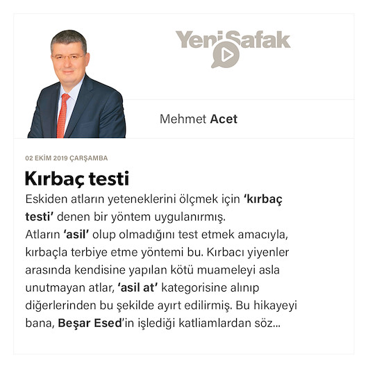 Kırbaç testi