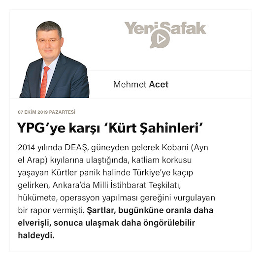 YPG’ye karşı ‘Kürt Şahinleri’