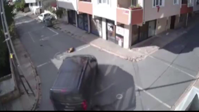 Yolda uyuyan köpeği ezdi, hiçbir şey olmamış gibi yoluna devam etti