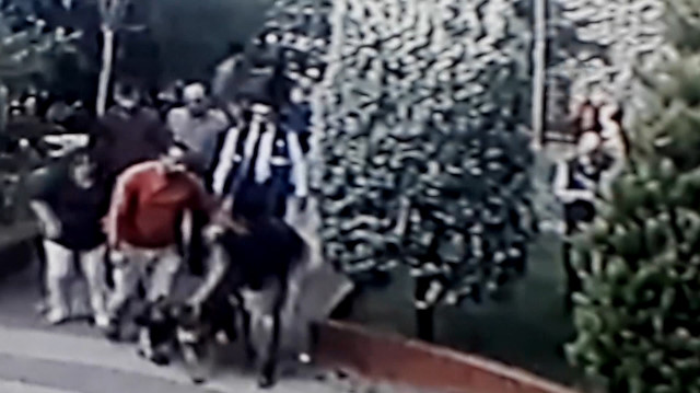 Pitbull dehşeti kamerada