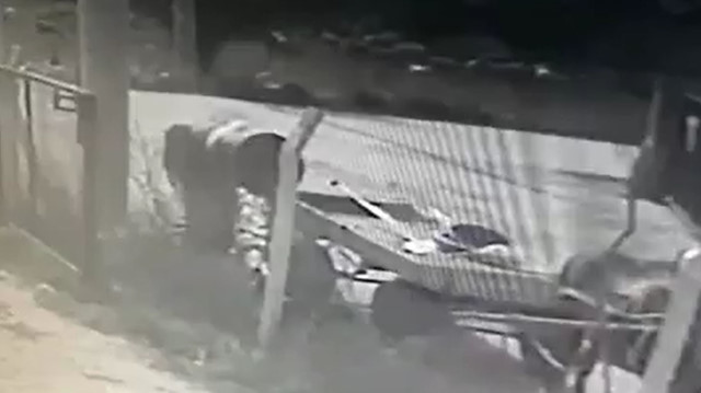 At arabasıyla hırsızlık güvenlik kamerasında