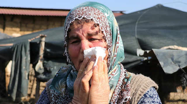 Koyunları çalınan Ayşe teyze: Hiçbir dayanacak gücüm kalmadı, yüreğim yanıyor