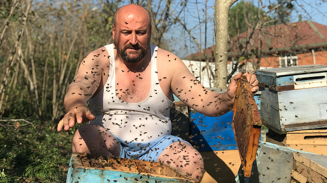 ‘Arılar beni tanır’ dedi, yarı çıplak peteklerin arısına daldı