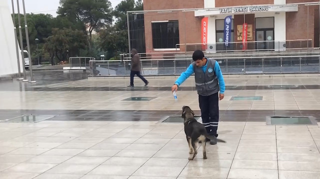 Temizlik işçisi ile sokak köpeğinin dostluğu