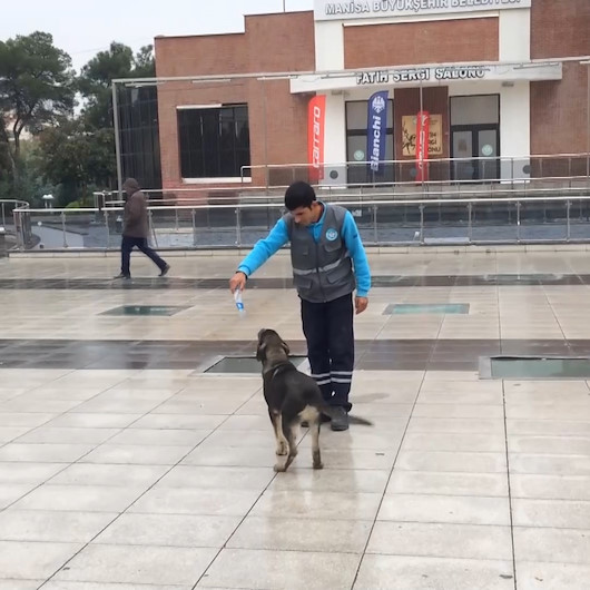 Temizlik işçisi ile sokak köpeğinin dostluğu
