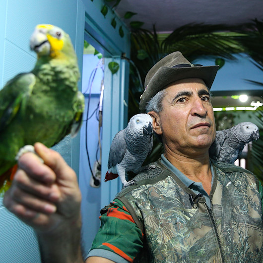Zeytinburnunda tropik adaya çevirdiği iş yerinde papağan eğitiyor
