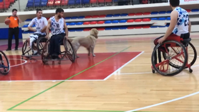 Karabük'te sahaya giren köpek nedeniyle maç durdu