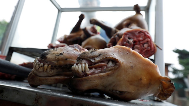 China's annual dogmeat fair opens under scrutiny