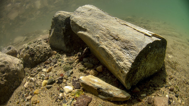 A land animal's fossil was found underwater at the Yamula Dam