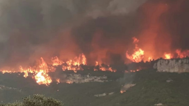 At Least 10 Injured In Southern Turkey Forest Fires
