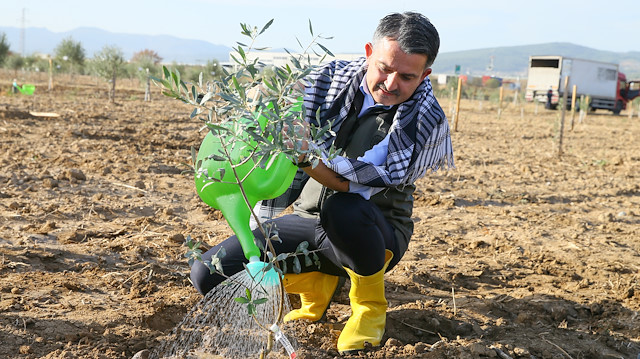 Turkey To Plant Saplings In Fire Hit Southern Province