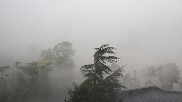 أنقرة.. عواصف وأمطار تعرقل حركة السير وتقتلع الأشجار