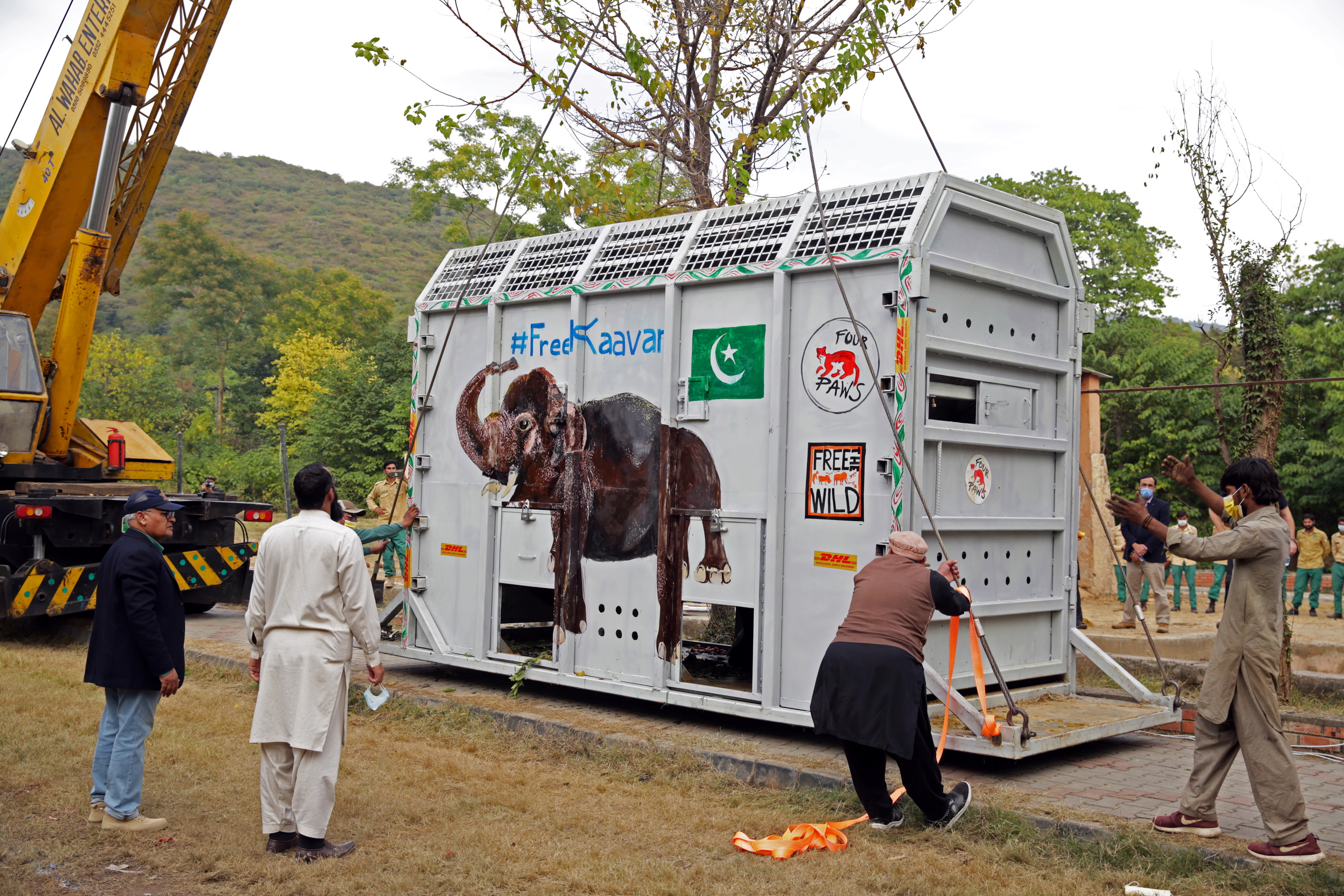 Pakistan's 'loneliest' elephant airlifted to Cambodia