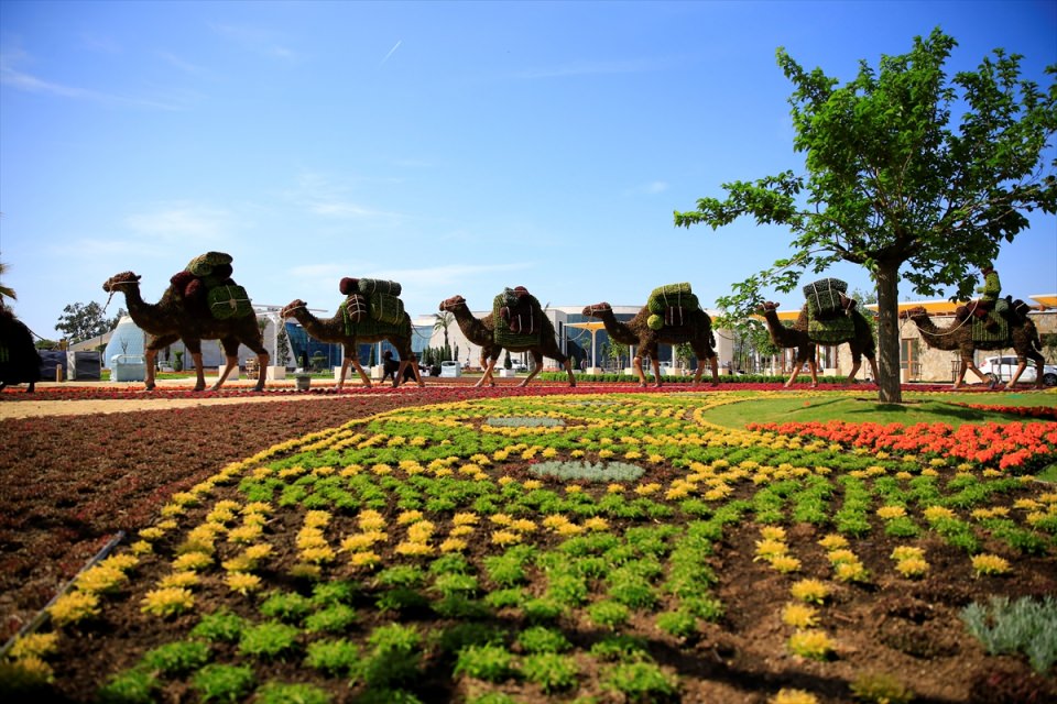 Living plant sculptures ready for EXPO 2016 Antalya