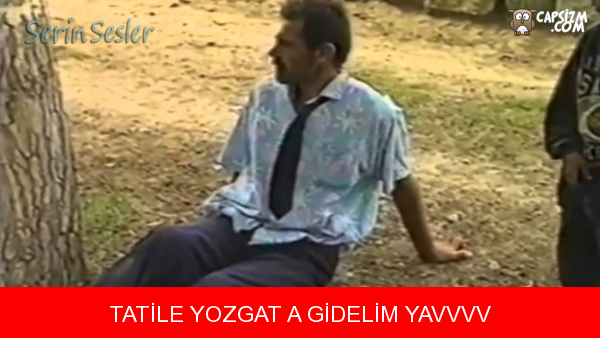 Asın bayrakları: Yozgat'a dair en komik 10 caps
