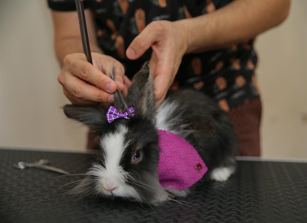 Pets get pampered at beauty shop in Turkey's Izmir
