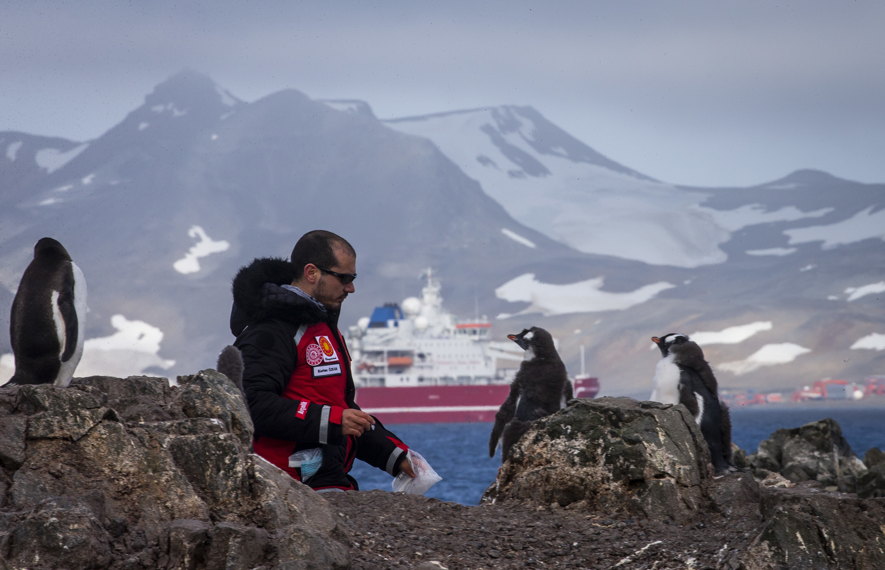 Race for research at continent of science and peace Antarctica