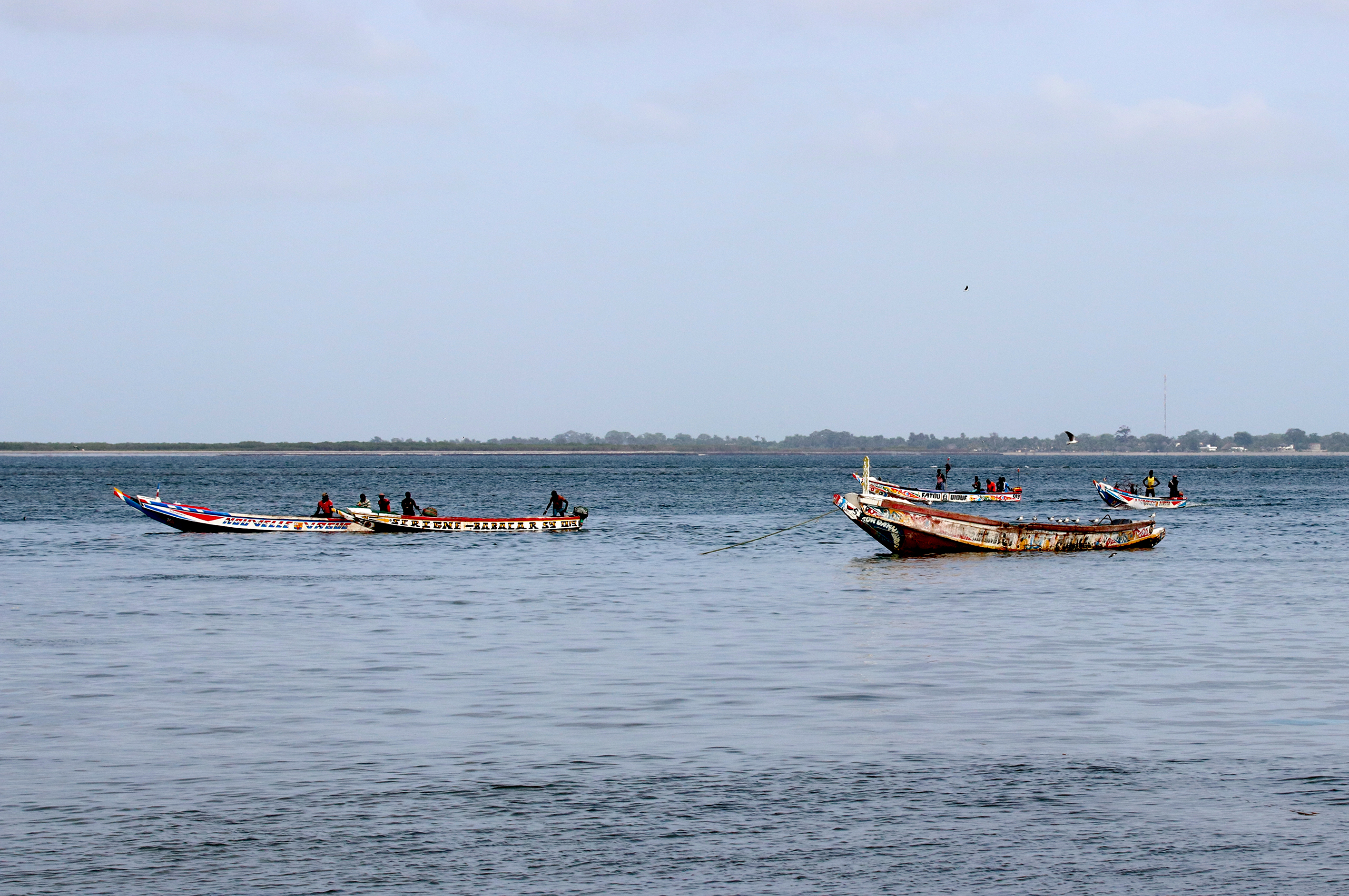 Senegalese fishermen of the Saloum Delta