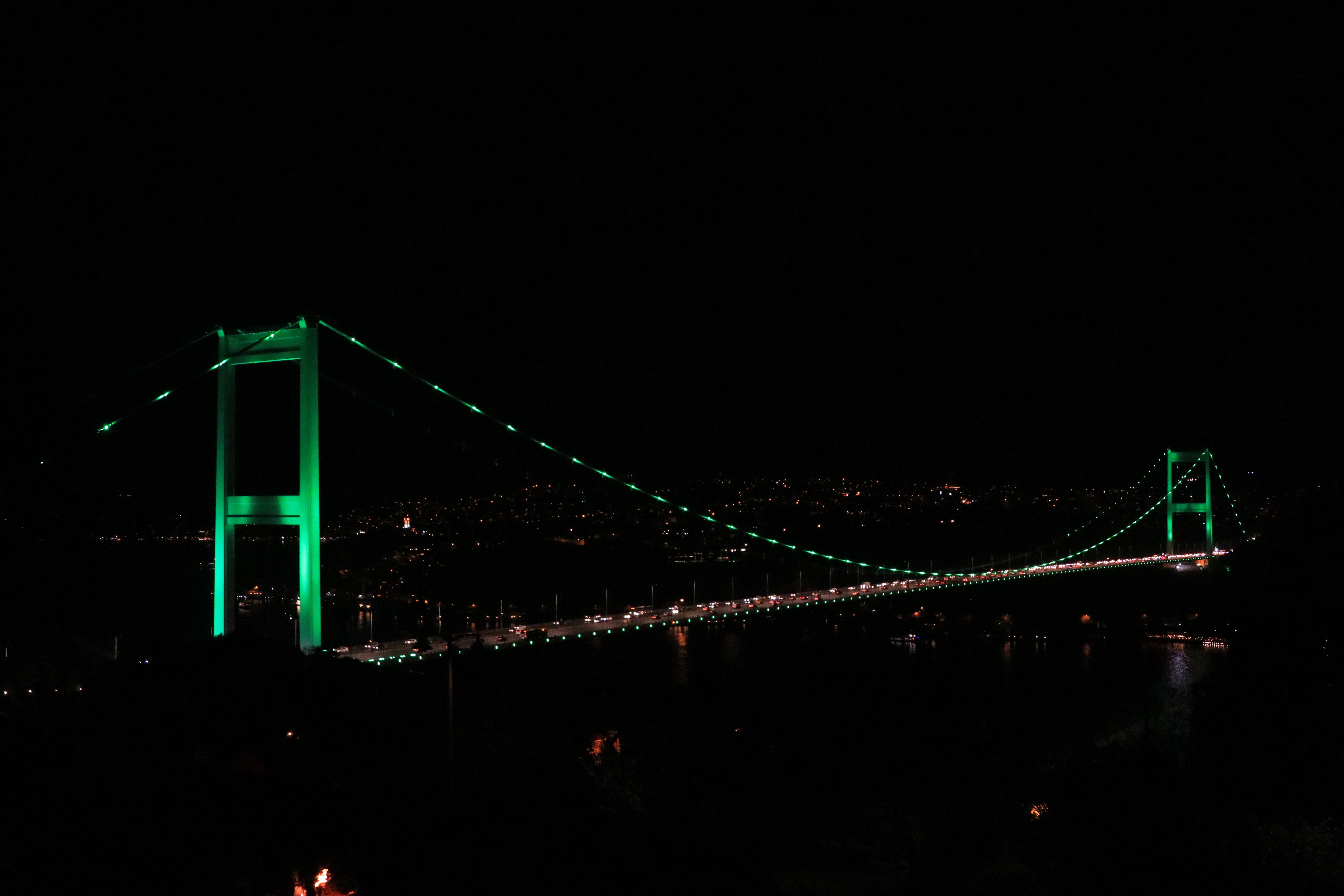 Green shines spotlight on cerebral palsy in Istanbul