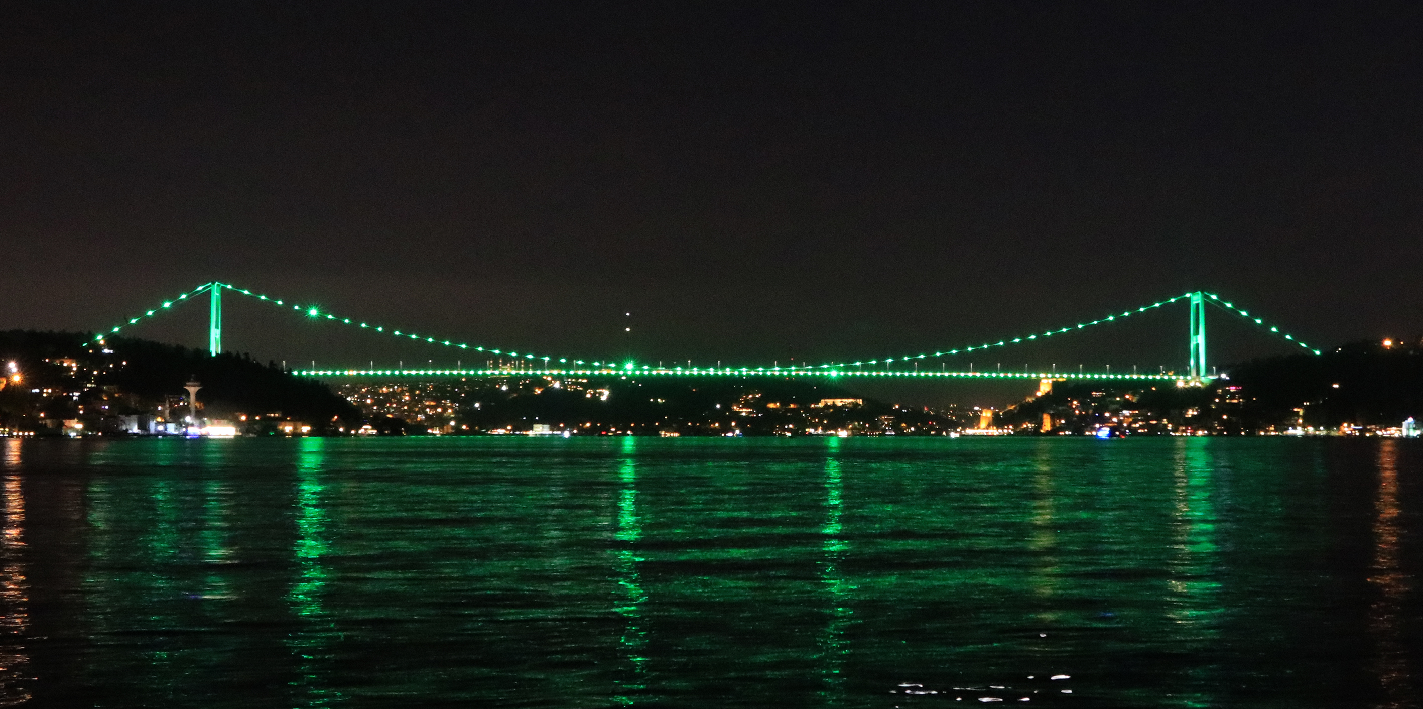 Green shines spotlight on cerebral palsy in Istanbul